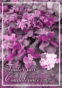 Fleurs violettes pour des pens&eacute;es r&eacute;confortantes